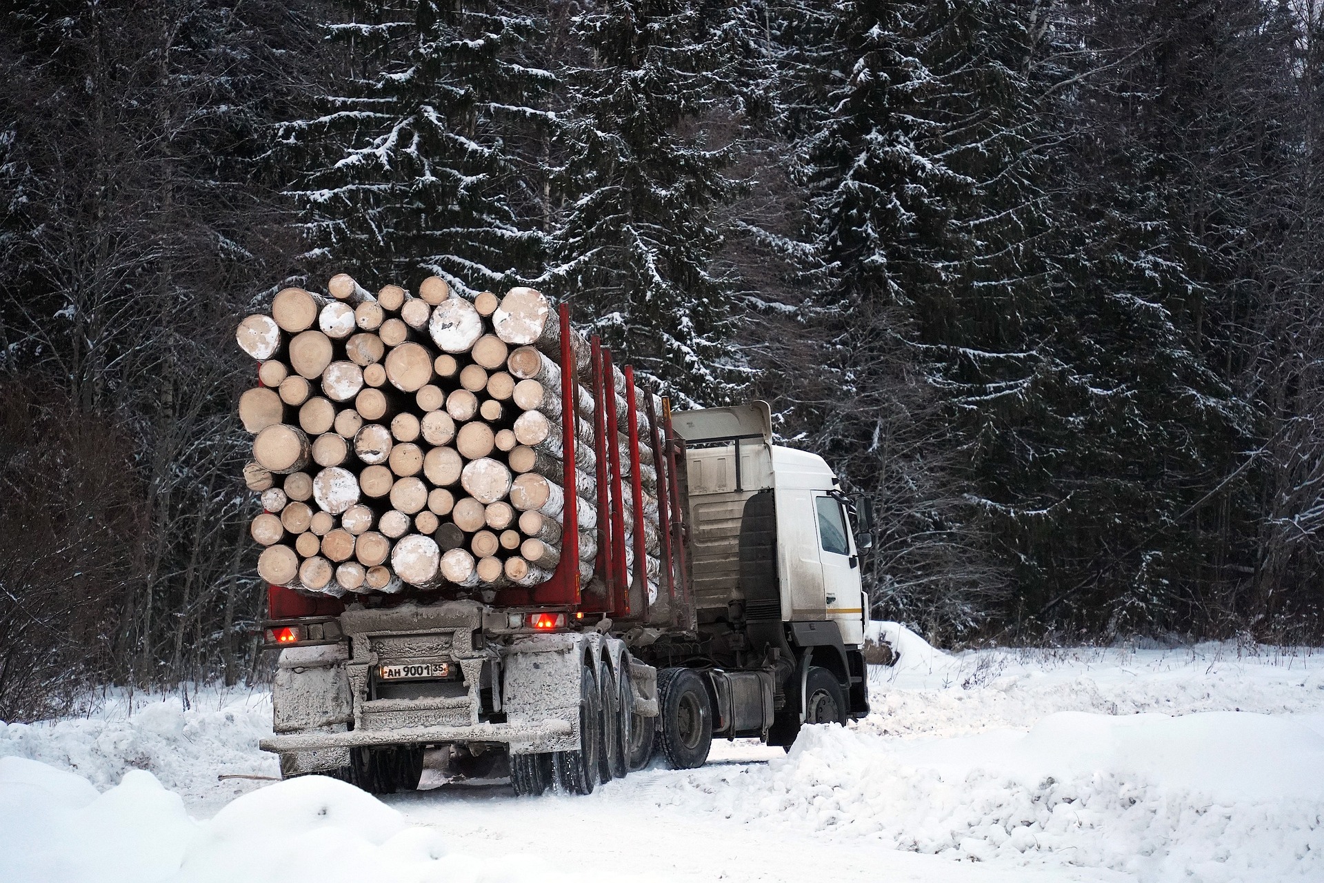 Truck with log